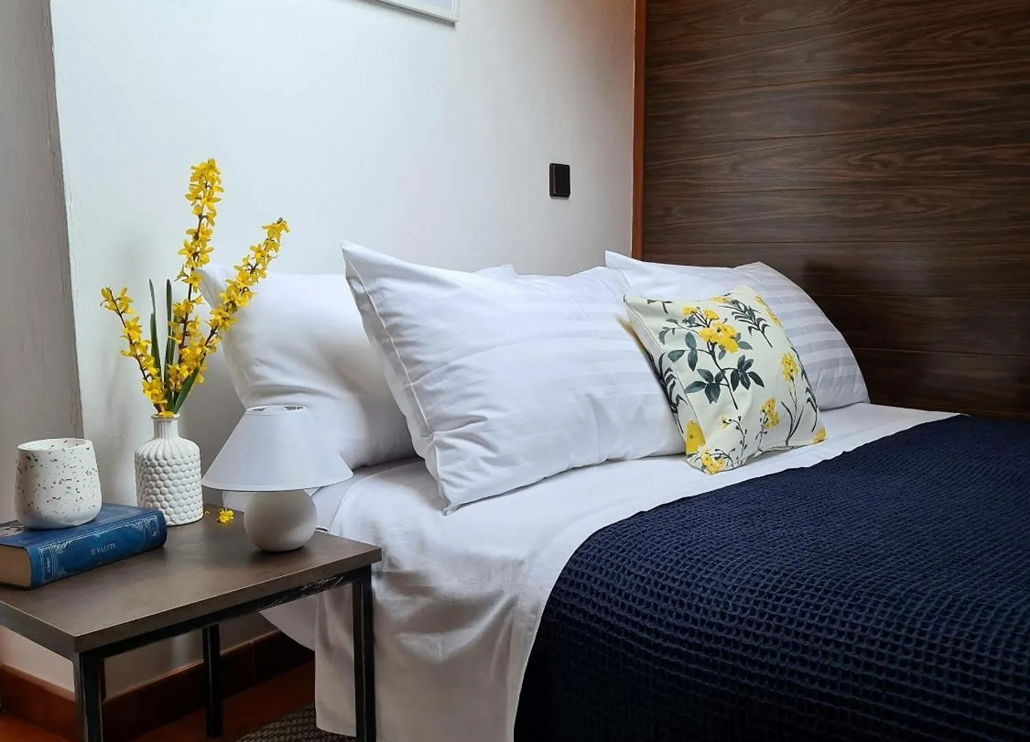 Penthouse Ivana Rovinj